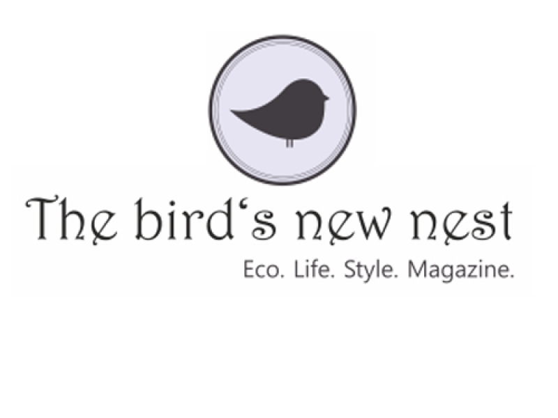 The-Birds-New-Nest-ver-sitio